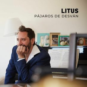 Pájaros De Desván album cover