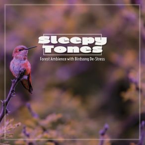Sleepy Tones: Forest Ambience With Birdsong De-Stress album cover