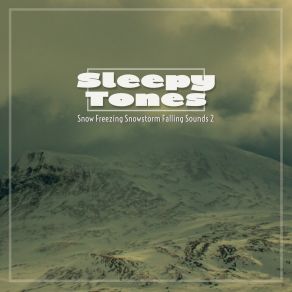 Sleepy Tones: Snow Freezing Snowstorm Falling Sounds 2 album cover