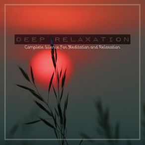 Deep Relaxation: Complete Silence For Meditation And Relaxation album cover