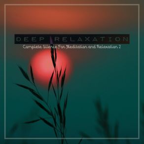 Deep Relaxation: Complete Silence For Meditation And Relaxation 2 album cover