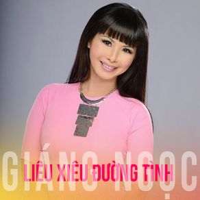 Liêu Xiêu Đường Tình (Karaoke) album cover