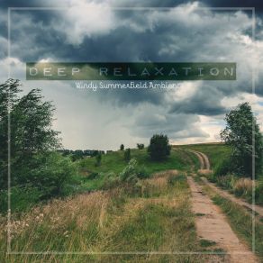 Deep Relaxation: Windy Summerfield Ambience album cover