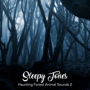 Sleepy Tones: Haunting Forest Animal Sounds 2 album cover
