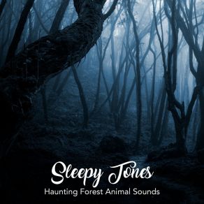 Sleepy Tones: Haunting Forest Animal Sounds album cover
