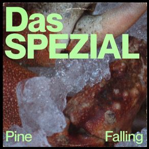 Pine Falling album cover