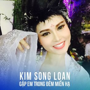 Gặp Em Trong Đêm Miền Hạ album cover