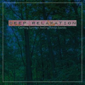 Deep Relaxation: Calming Summer Healing Forest Sounds album cover