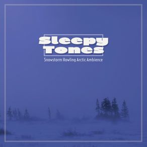 Sleepy Tones: Snowstorm Howling Arctic Ambience album cover