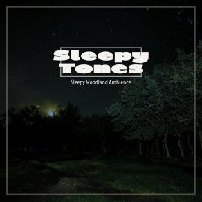 Sleepy Tones: Sleepy Woodland Ambience album cover