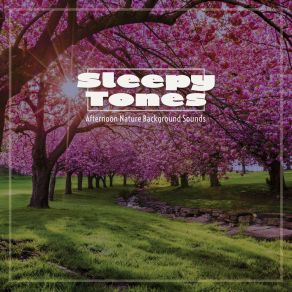 Sleepy Tones: Afternoon Nature Background Sounds album cover
