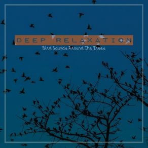 Deep Relaxation: Bird Sounds Around The Trees album cover