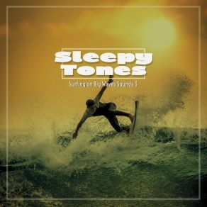 Sleepy Tones: Surfing On Big Waves Sounds 3 album cover