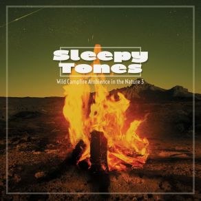 Sleepy Tones: Wild Campfire Ambience In The Nature 3 album cover