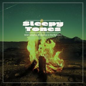 Sleepy Tones: Wild Campfire Ambience In The Nature 2 album cover