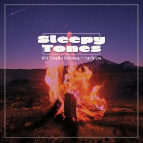 Sleepy Tones: Wild Campfire Ambience In The Nature album cover