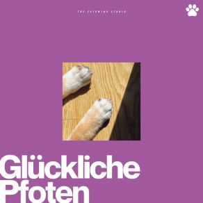 Glückliche Pfoten album cover