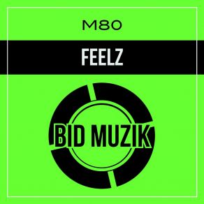 Feelz album cover