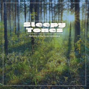 Sleepy Tones: Morning In The Forest Ambience album cover