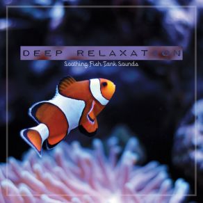 Deep Relaxation: Soothing Fish Tank Sounds album cover