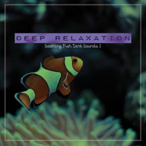 Deep Relaxation: Soothing Fish Tank Sounds 2 album cover