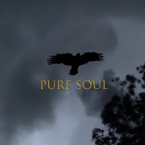 Pure Soul album cover