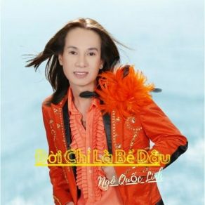 Đời Chỉ Là Bể Dâu album cover