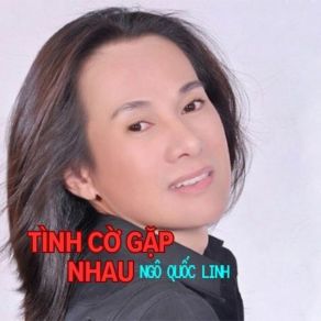 Tình Cờ Gặp Nhau album cover