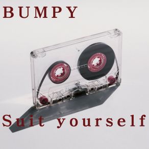 Suit Yourself album cover