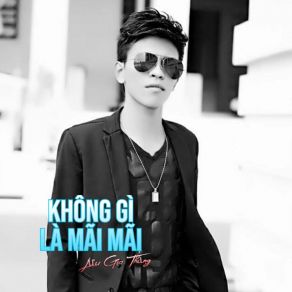 Không Gì Là Mãi Mãi album cover