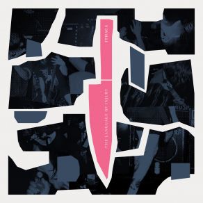 The Language Of Injury album cover