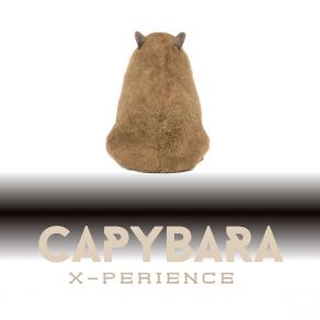 Capybara album cover