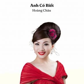 Anh Có Biết album cover