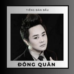 Tiếng Đàn Bầu album cover