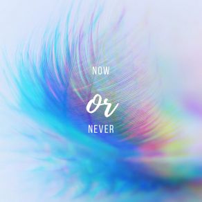 Now Or Never album cover