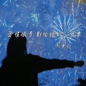 爱情很贵别给错的人浪费 (DJ九零版) album cover