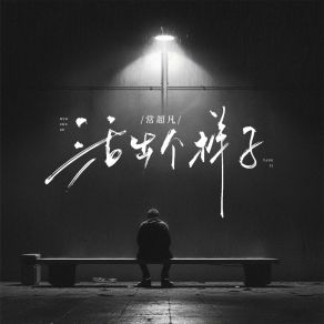 活出个样子 (DJ花荣版) album cover