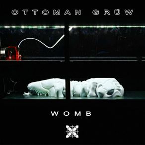Womb album cover