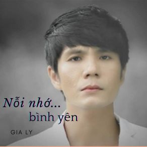 Nỗi Nhớ Bình Yên album cover