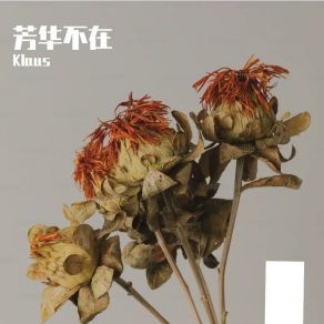 芳华不在 album cover