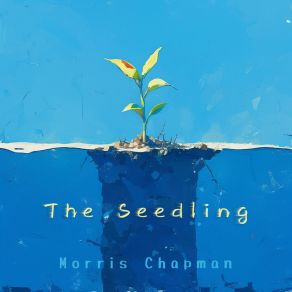 The Seedling album cover