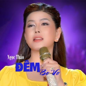 Đêm Bơ Vơ album cover