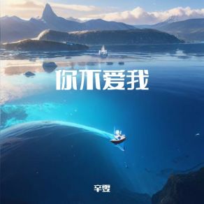 你不爱我 album cover