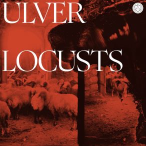 Locusts album cover