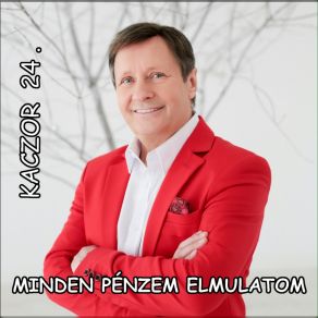 Minden Penzem Elmulatom album cover