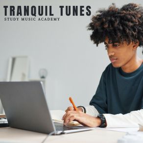 Tranquil Tunes: Focus Music album cover