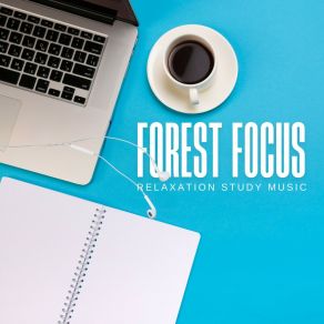 Forest Focus: Concentration Music album cover