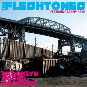 Brooklyn Sound Solution album cover