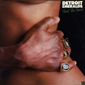 Feel The Need album cover