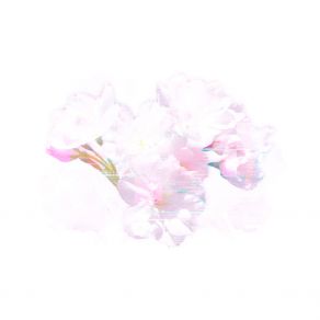 Flowers album cover